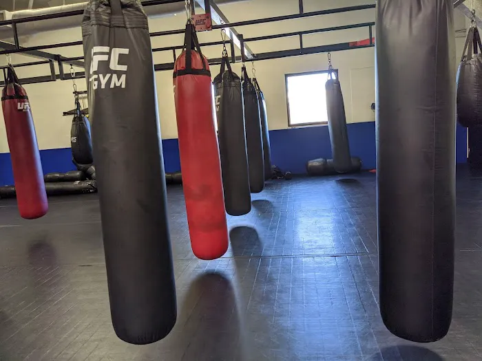UFC GYM Concord Picture 2