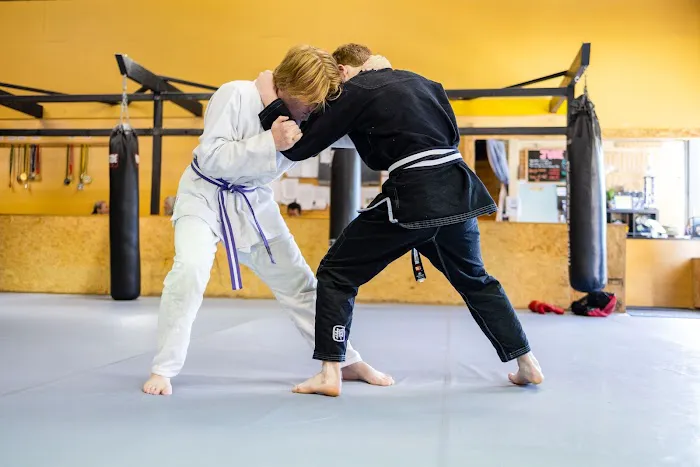 Practical Martial Arts Picture 2