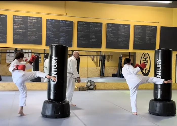 Practical Martial Arts Picture 8