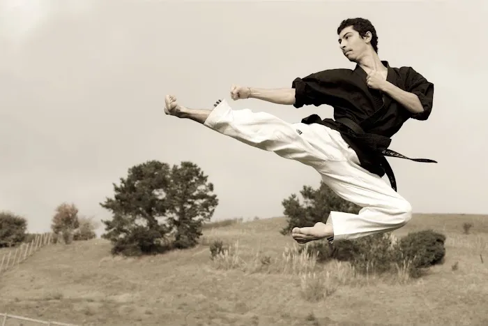 West America Tae Kwon Do Picture 6