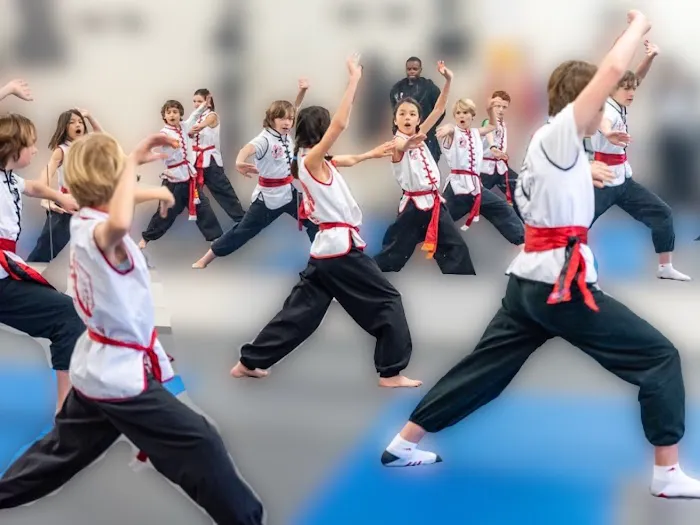 San Rafael Martial Arts Picture 10