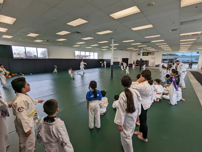 Miro's Taekwondo / Gracie Jiu-Jitsu Vallejo Picture 9