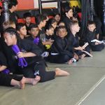 Maximus Combat Sports