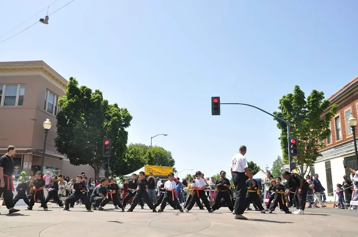 School of Chinese Martial Arts Hei Long - Shou Shu Kung Fu Picture 5