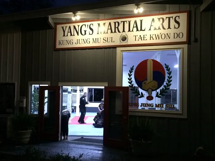 Yang's Martial Arts Academy Picture 1