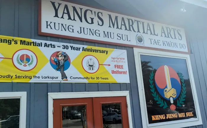 Yang's Martial Arts Academy Picture 3