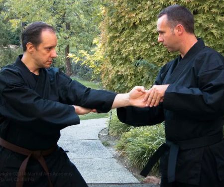 The Martial Arts Academy of Marin