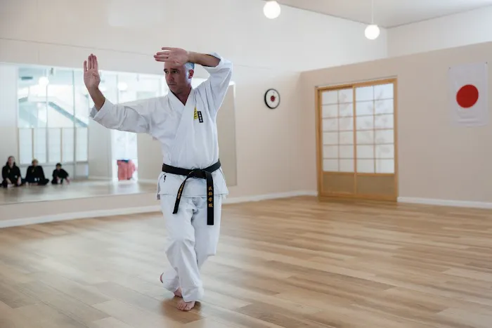 The Martial Arts Academy of Marin Picture 9