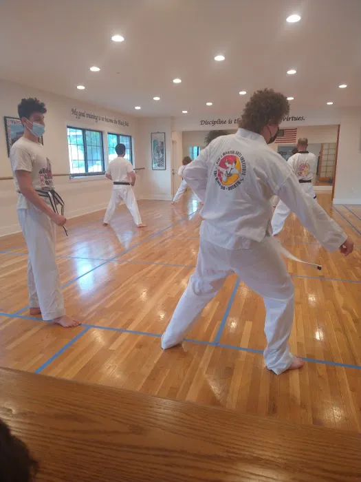 Kim's Martial Arts Institute Picture 1
