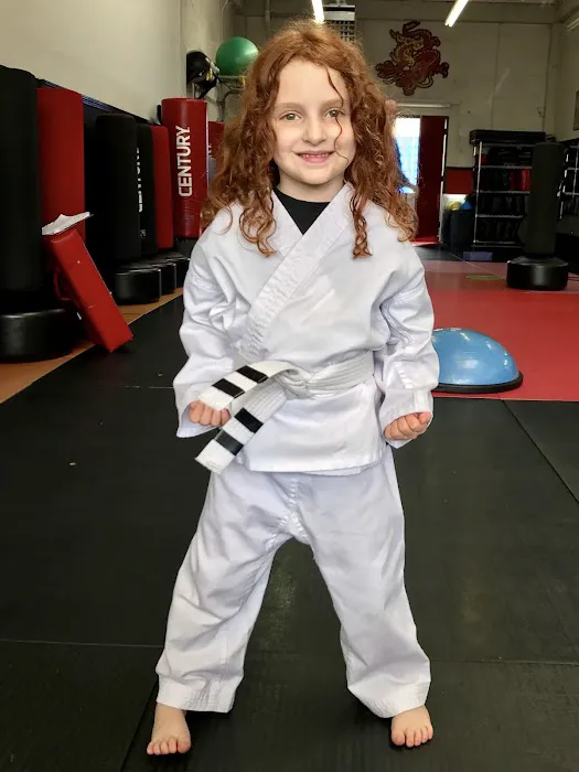The Dojo Picture 8