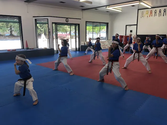 Novato Family Martial Art Picture 3