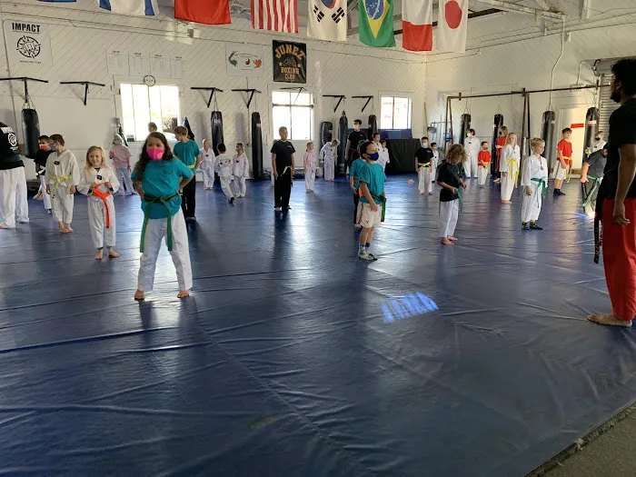 Main Street Martial Arts Picture 2
