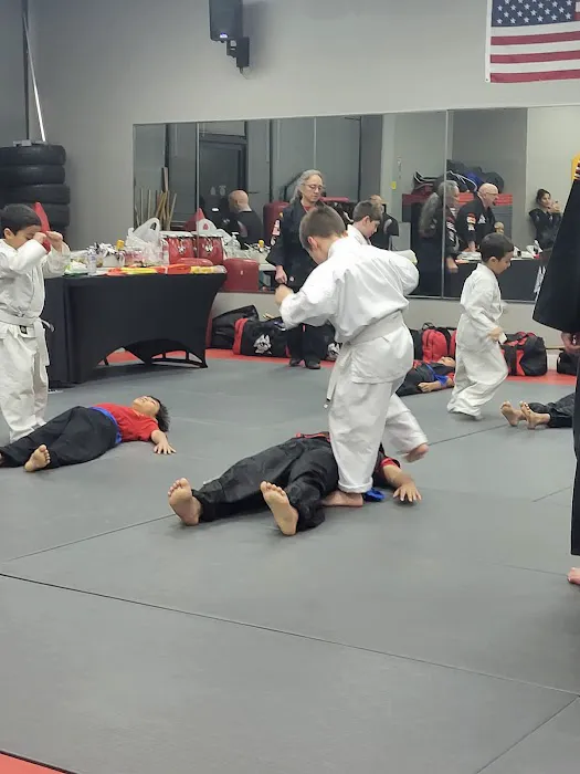 Tony Ramos Kajukenbo Karate Picture 2