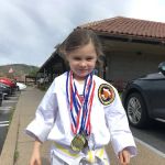 Valley of the Moon Taekwondo