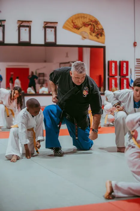 Twin Tigers Academy of Self Defense Picture 3