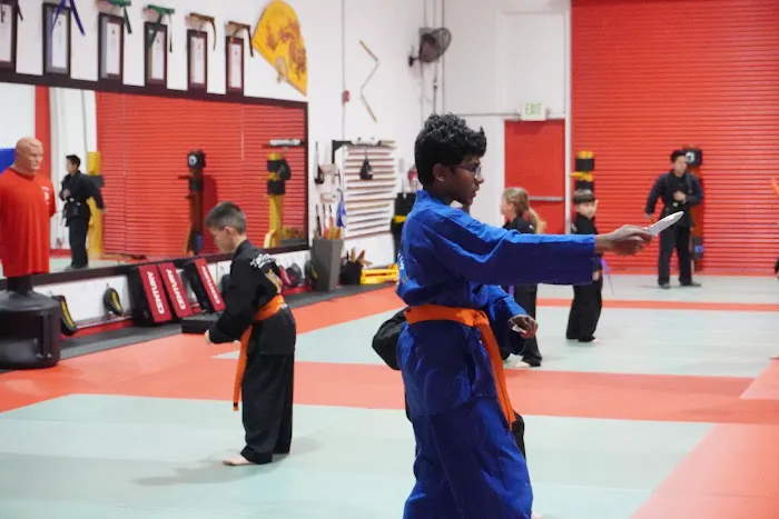 Twin Tigers Academy of Self Defense Picture 5