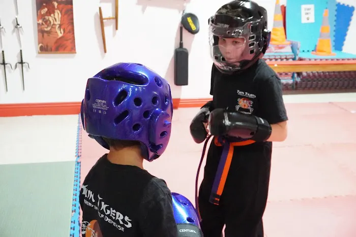 Twin Tigers Academy of Self Defense Picture 7