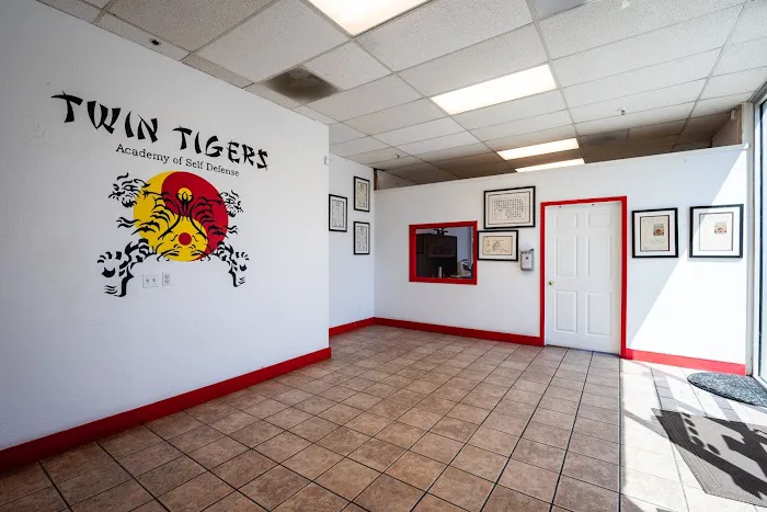 Twin Tigers Academy of Self Defense Picture 8