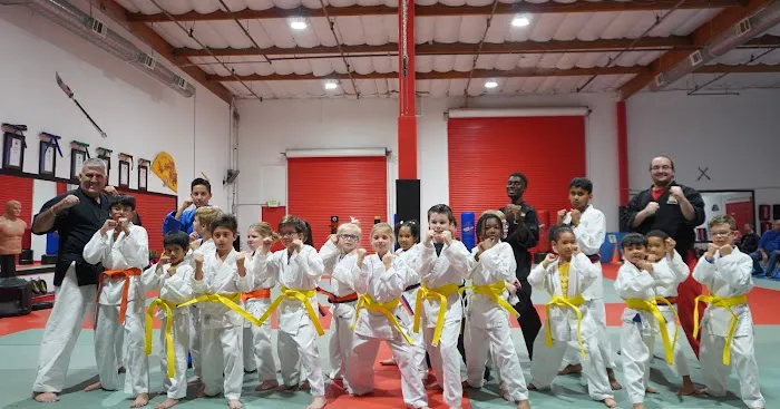 Twin Tigers Academy of Self Defense Picture 6