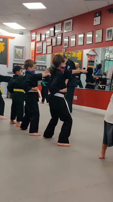 Tosh's Karate Academy Picture 2