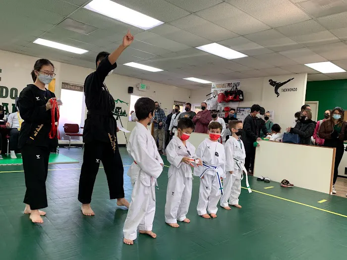 Pinnacle Taekwondo Picture 1