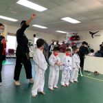 Pinnacle Taekwondo