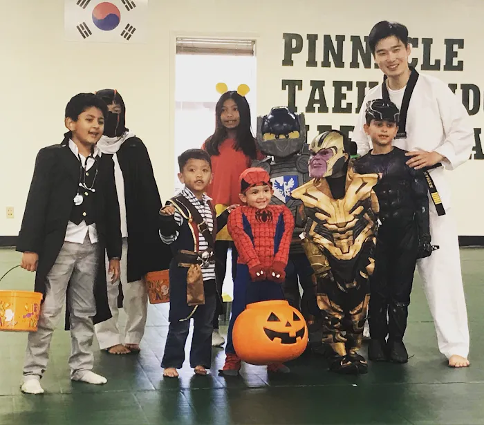 Pinnacle Taekwondo Picture 10