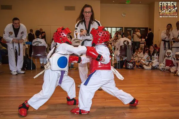 Hamlet's Taekwondo Academy Picture 5