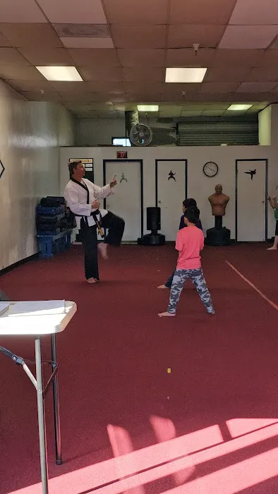 Hamlet's Taekwondo Academy Picture 8