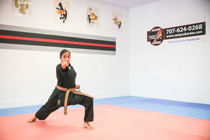 Campos Martial Arts Picture 10