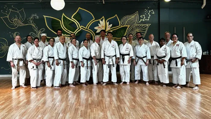 Shotokan Karate Academy of Napa Picture 1