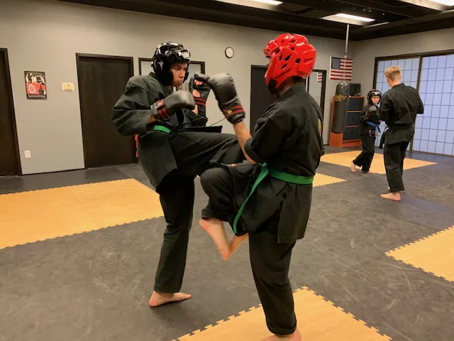 Z-Ultimate Self Defense Studios Picture 6