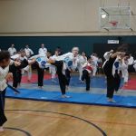 ITO'S WHITE TIGER KEMPO KARATE TAI CHI CHUAN