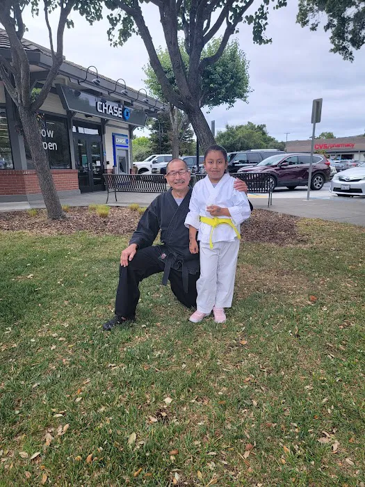 ITO'S WHITE TIGER KEMPO KARATE TAI CHI CHUAN Picture 5