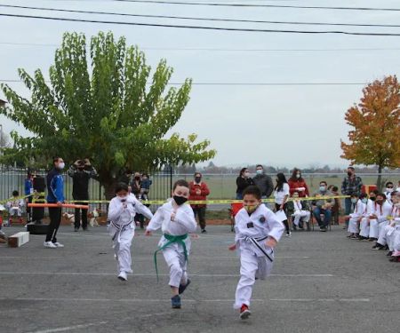 Cali kicks Martial Arts Academy
