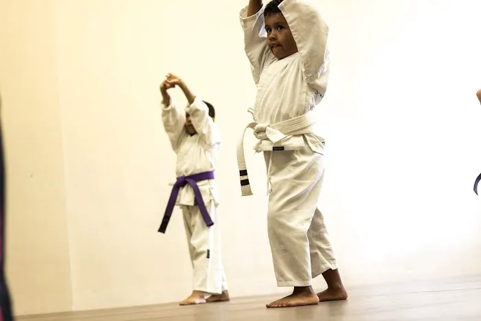 Manteca Martial Arts Picture 5