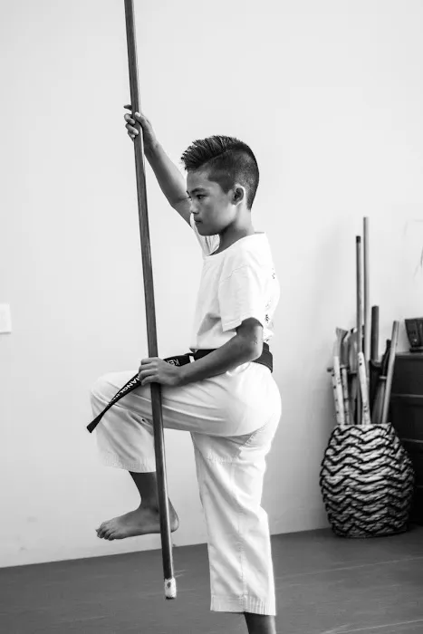 Manteca Martial Arts Picture 10