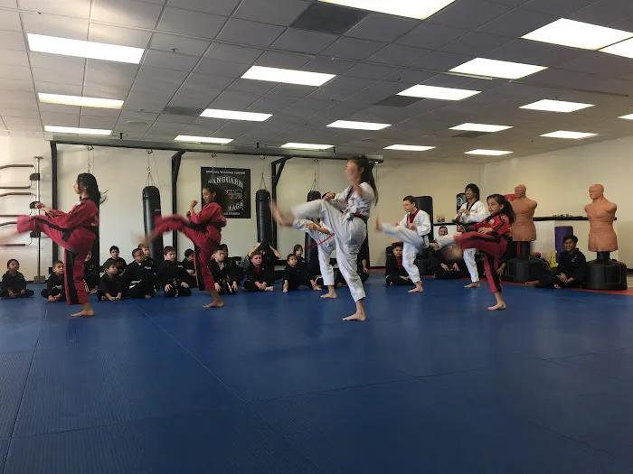 Kicks Tae Kwon Do Self Defense and Fitness Picture 2