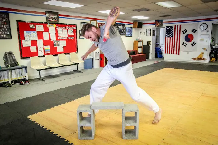 Blessner Tae Kwon DO Picture 2