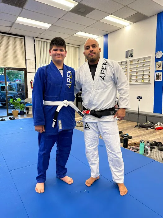Apex Brazilian Jiu Jitsu Academy Vacaville Picture 1