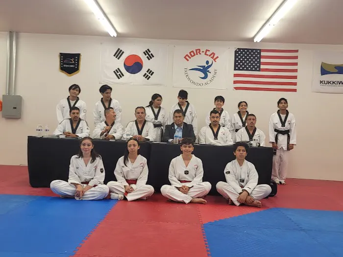 Nor-cal taekwondo Academy Picture 5