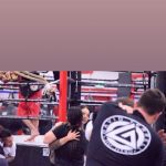 Nor Cal Fighting Alliance Santa Rosa