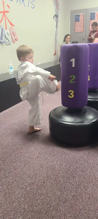 Discovery Martial Arts Picture 4