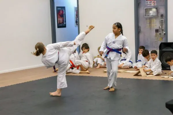Infinity Martial Arts Picture 8