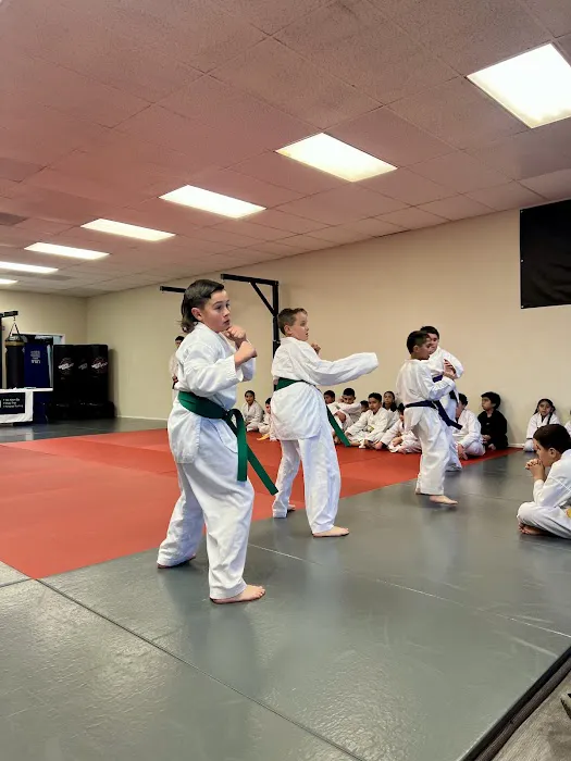 United Taekwondo Center Picture 5