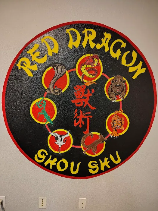 Red Dragon Self Defense Picture 9