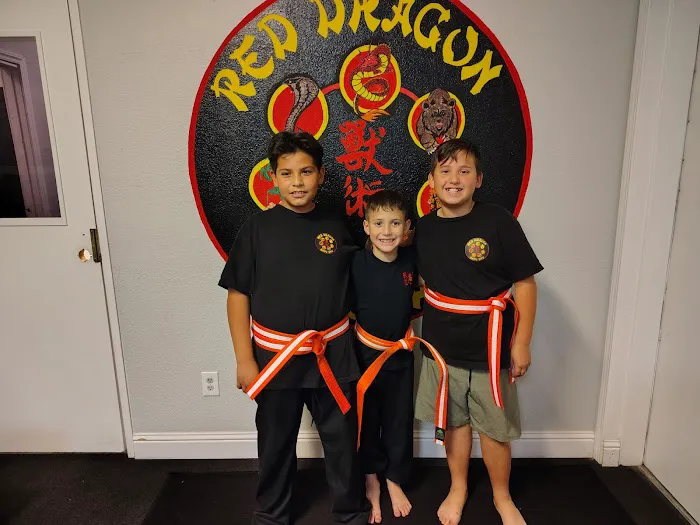 Red Dragon Self Defense Picture 6
