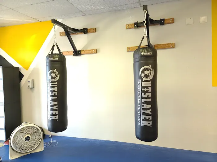 Apex Martial Arts Academy Picture 1