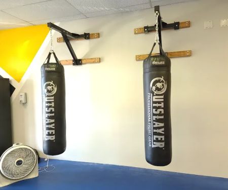 Apex Martial Arts Academy