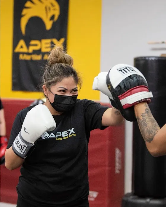 Apex Martial Arts Academy Picture 6